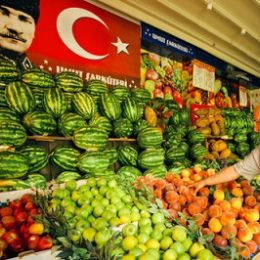 Турция отменила инспекцию мясных предприятий России